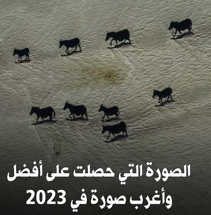 صورة الصورة التي حيرت العالم ! أغرب صورة في 2023